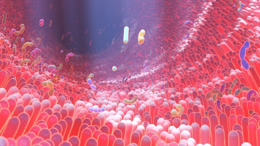 Image Credit: Alpha Tauri 3D Graphics/Shutterstock.com