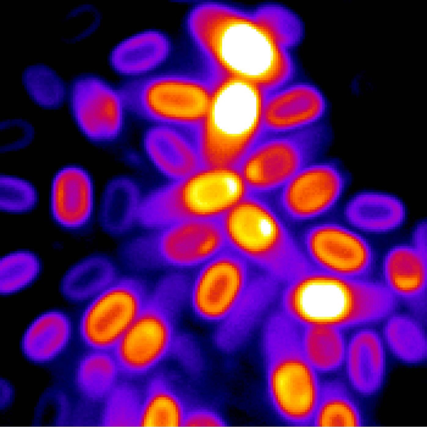 Spores integrate environmental signals over time