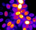 Spores integrate environmental signals over time