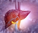 A remarkable finding reorients attempts to cure liver disease