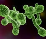 Genomic research helps in tackling the fatal complications of fungal infections