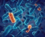 Discovery and characterization of a new antifungal compound