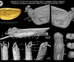 Research team discovers “trapped” unknown insect genus