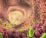 Gut microbiome’s influence on how lifestyle affects dementia risk