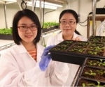The influence of fatty acid metabolism on plant immunity