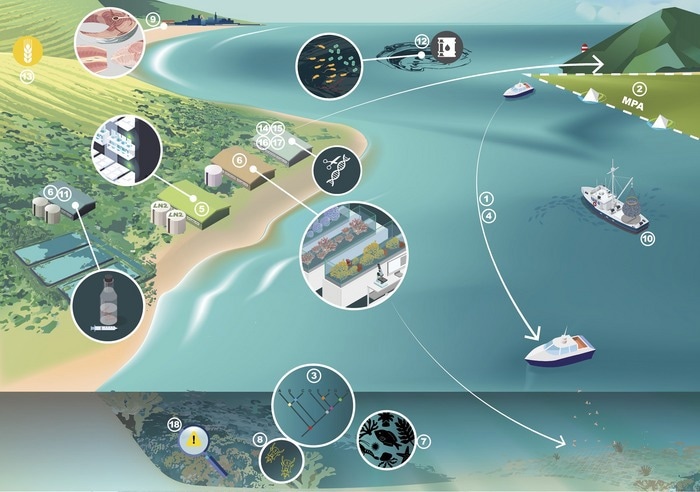 Saving ocean habitats with newer genomic technologies