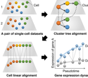 Novel method for comparing single-cell trajectories with tree alignment
