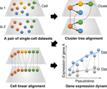 Novel method for comparing single-cell trajectories with tree alignment