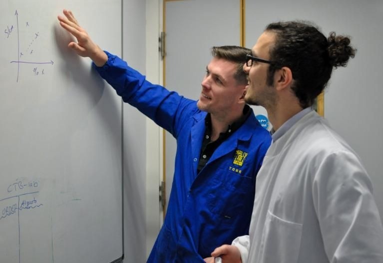 Applying machine learning to define significant immune cells