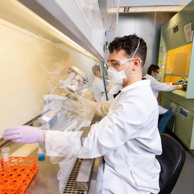 New consortium for scaled up meat produced from cultivated cells