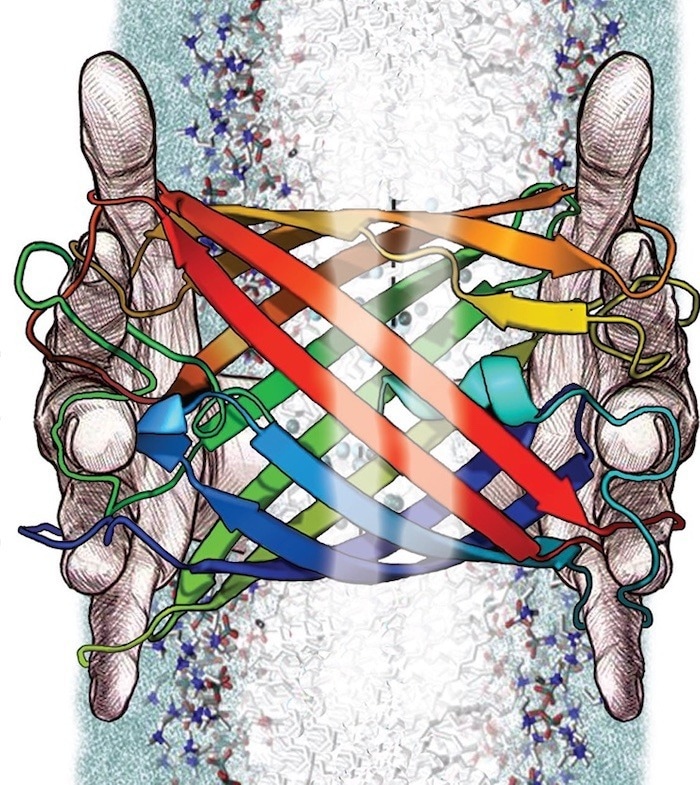 “Deep fake” protein created with AI to tackle water pollutants