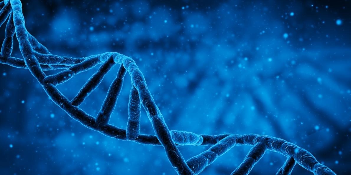 New genome-wide association study of dyslexia