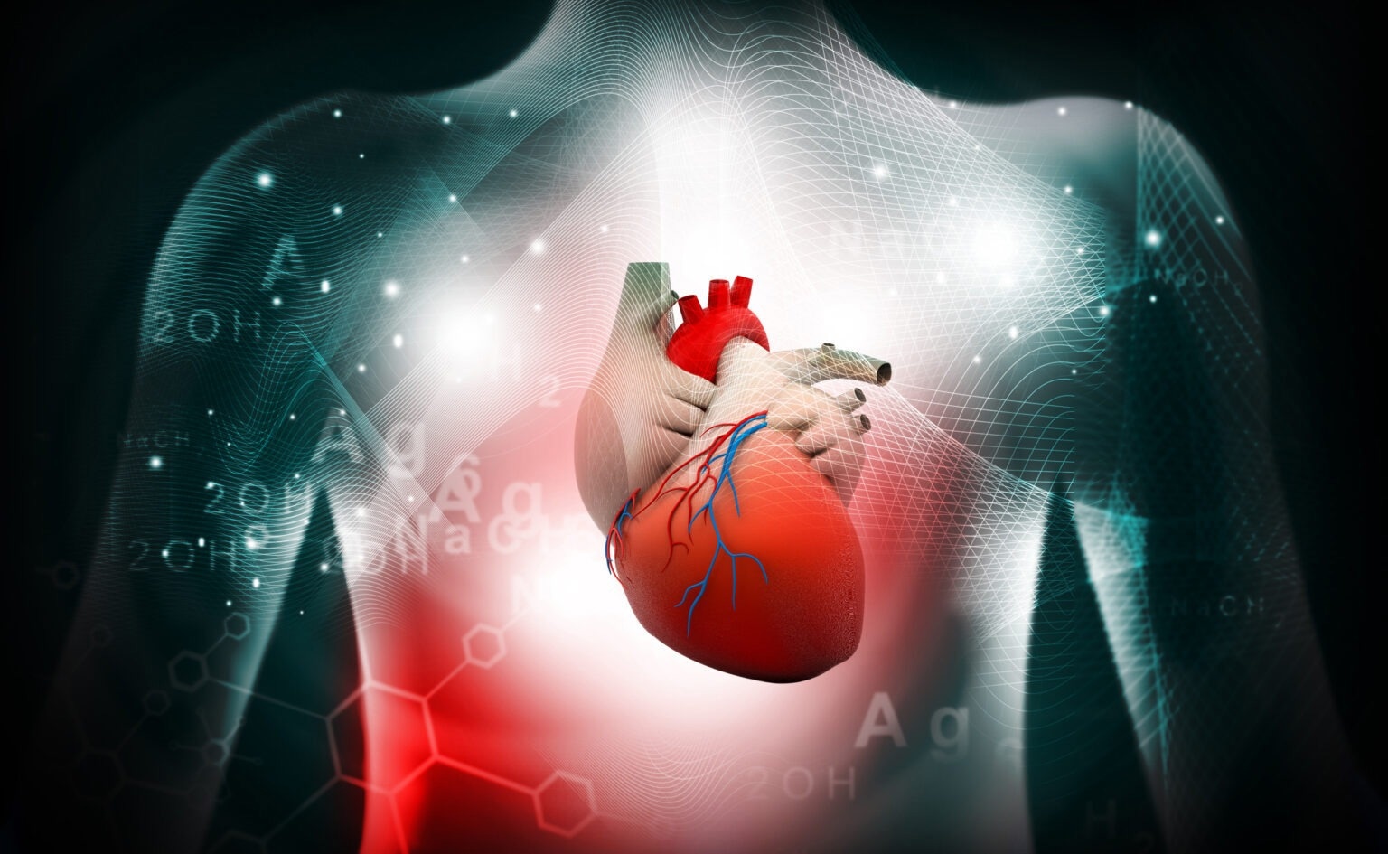 Molecular mechanisms behind mitochondrial dysfunction in chronic heart failure