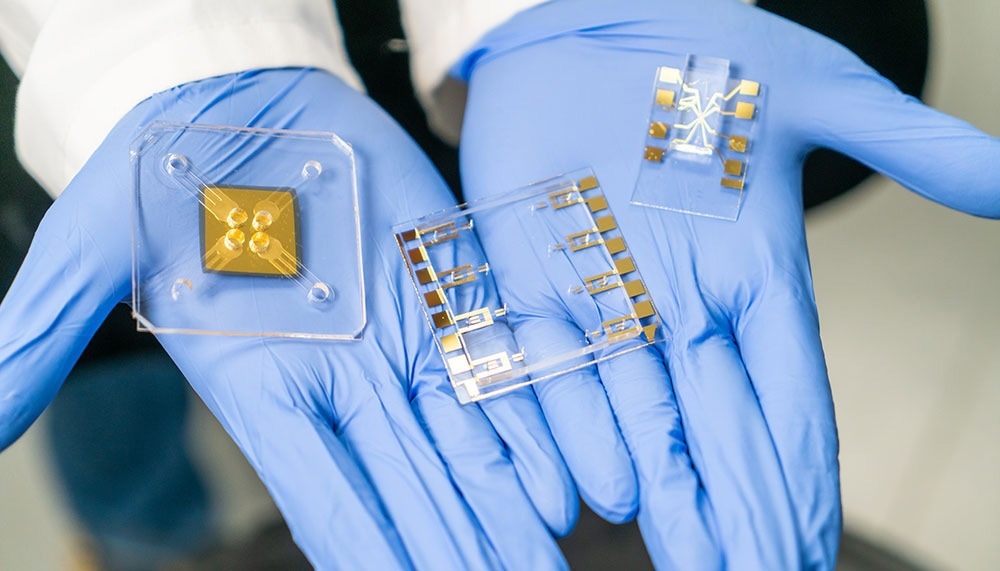 Novel technology accurately analyzes cell properties