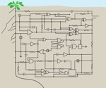 Plant root reprogramming via synthetic genetic circuits