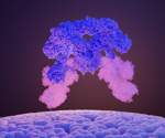 Identifying the structure of the SEA complex