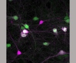 New tool advances potential means to deliver gene therapy