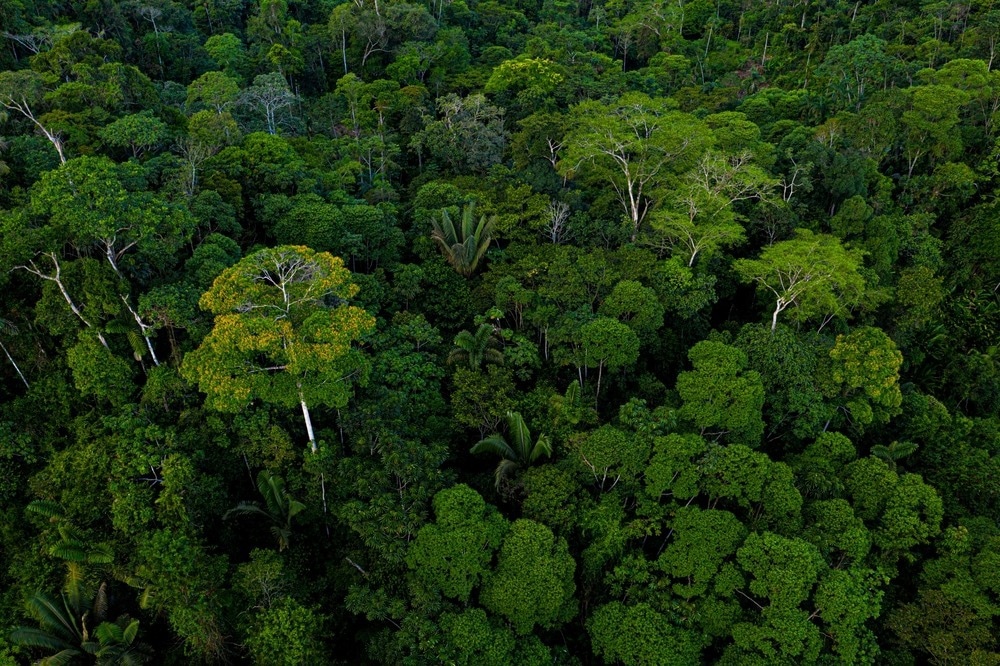 Conservation
