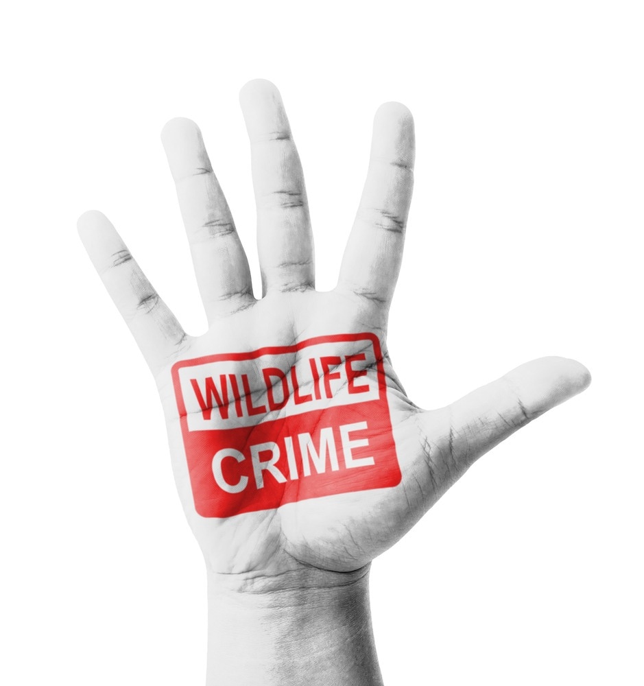 Wildlife Crime