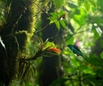 CITES: Regulating the International Wildlife Trade to Preserve the Viability of Species