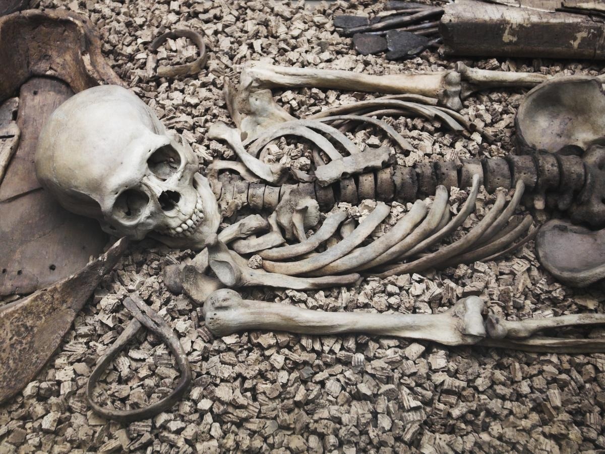 Ancient genomes reveal remarkable information about human evolution