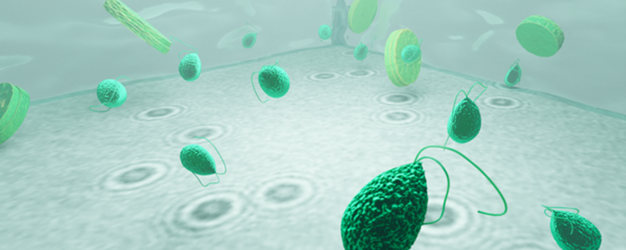 AI-based holographic microscope monitors microplanktons at the individual level