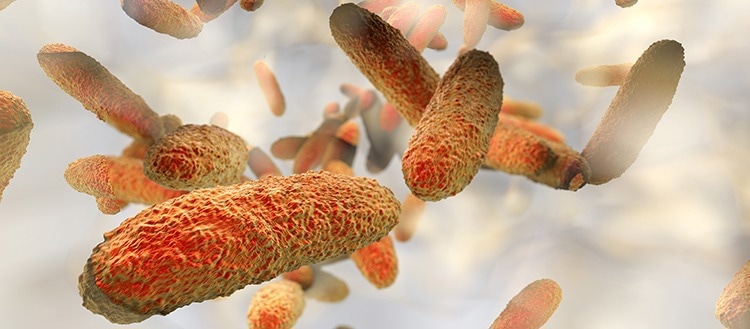 Combating antibiotic-resistant bacteria with new drug