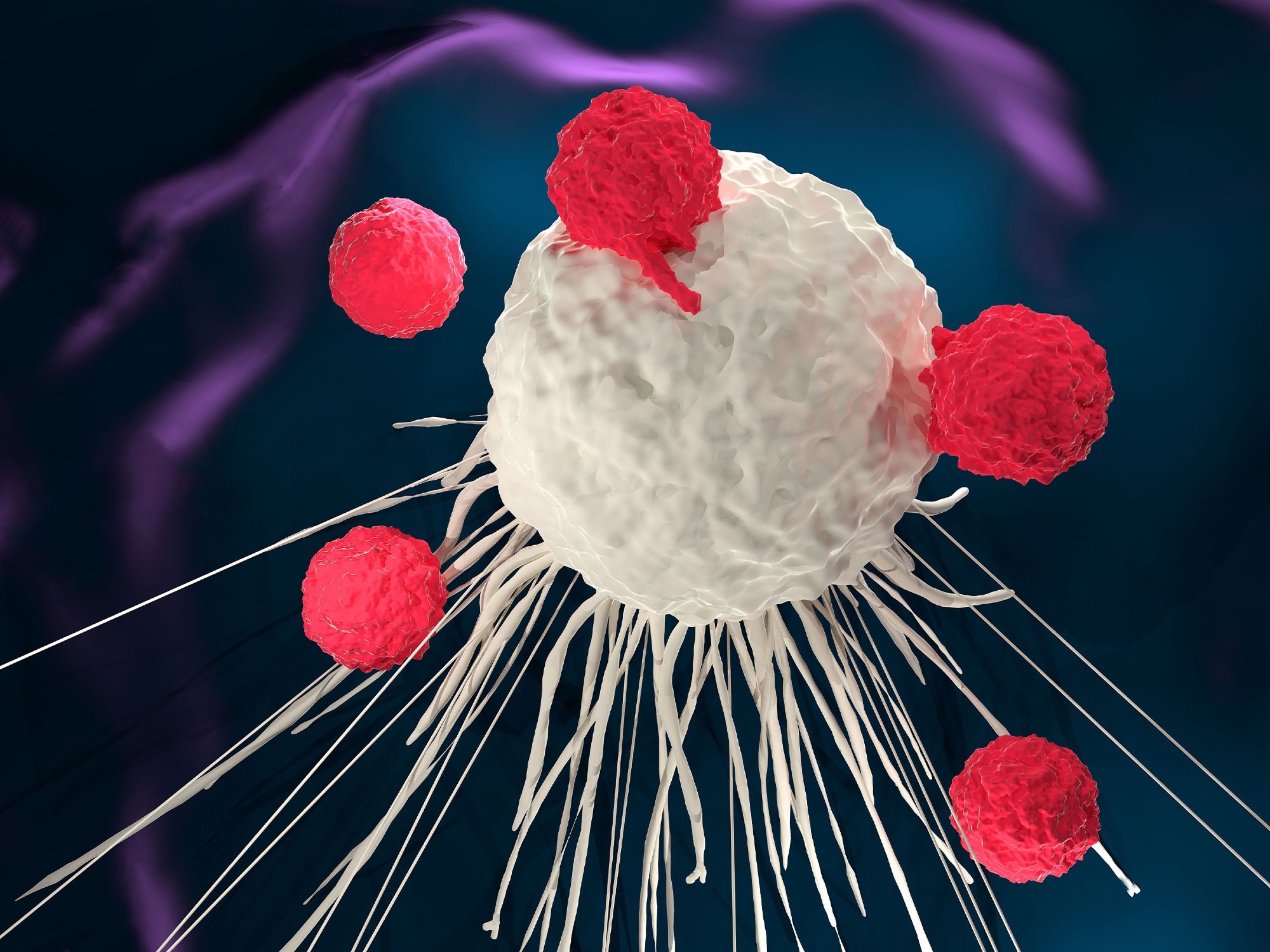 Understanding immune cell function to improve vaccine efficacy