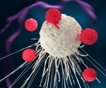 Understanding immune cell function to improve vaccine efficacy