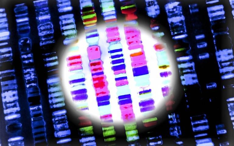 Multidisciplinary analysis of WGS improves diagnostic rates