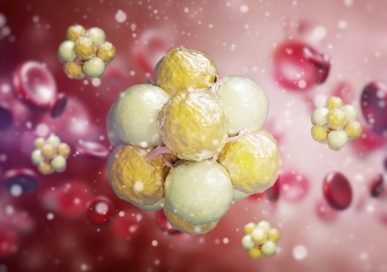 Regulating cholesterol production with novel protein