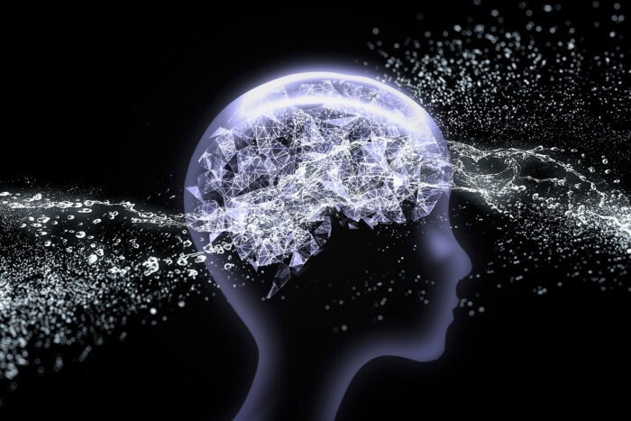 Revitalized immune cells improve waste removal from the brain
