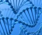 Enzymes hold the answer to understanding how DNA mutates