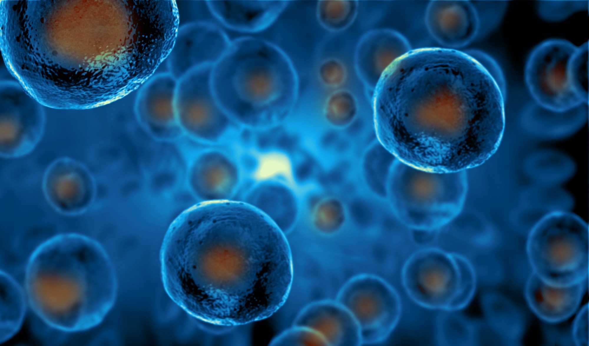 Stem Cells
