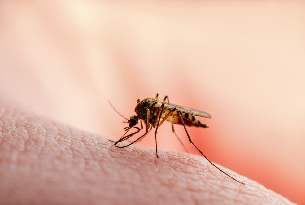 Atypical antibody shows extremely potent zika-resistant activity