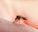 Atypical antibody shows extremely potent zika-resistant activity