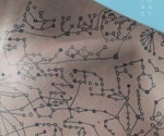 The influence of genes and small molecules on personal disease risk