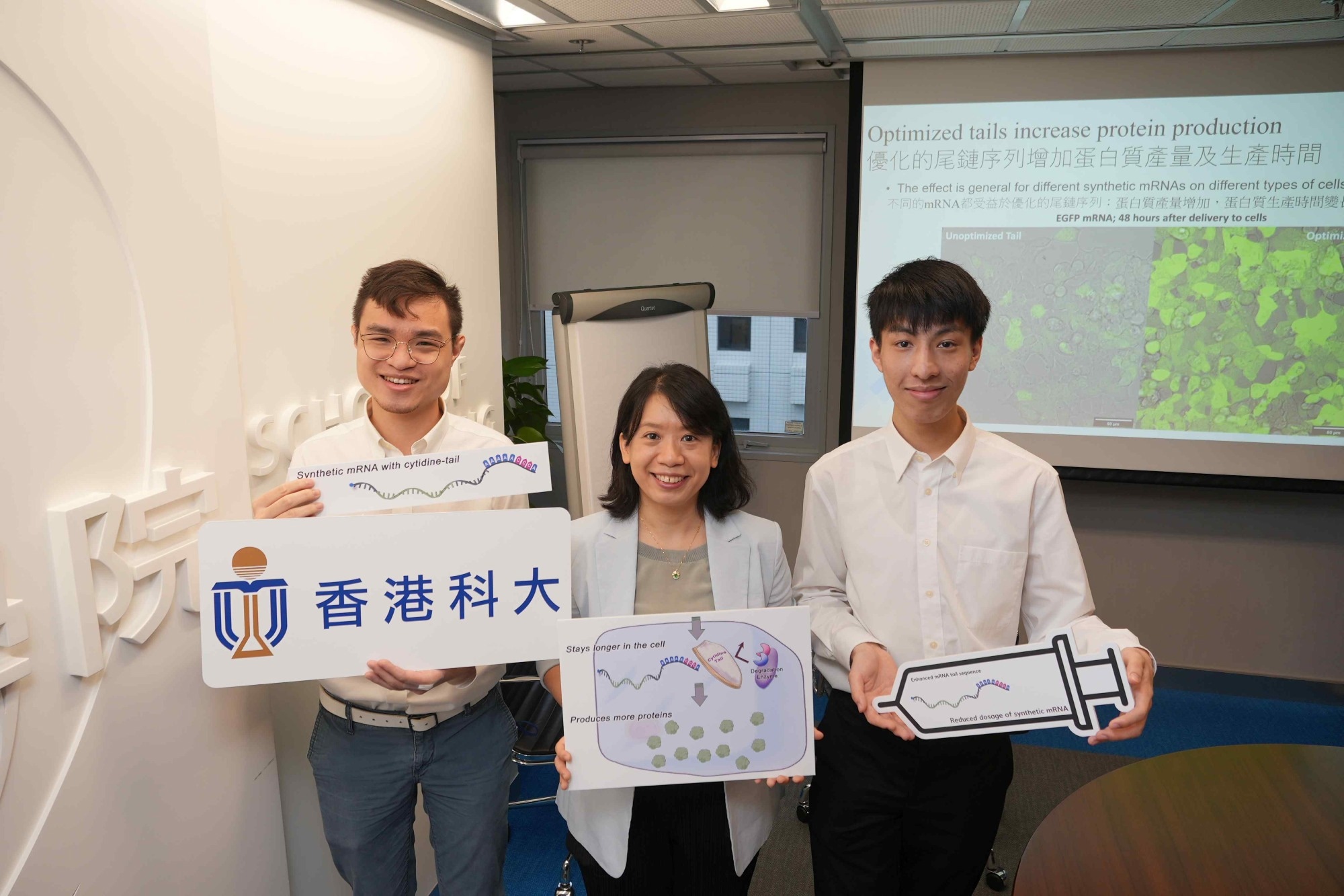 Novel approach increases the protein production efficiency of synthetic mRNAs
