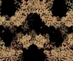 Tankyrase protein plays an important role in helping drive bowel cancer