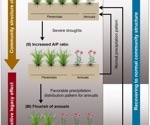 Extreme drought-induced change might have strong positive legacy effects