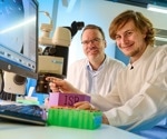 Study unravels a novel function of the gene scissors