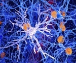 Microglial cells trigger inflammatory protective mechanisms in the immune system