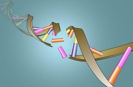Revealing the unappreciated role of POLQ in responding to DNA replication stress
