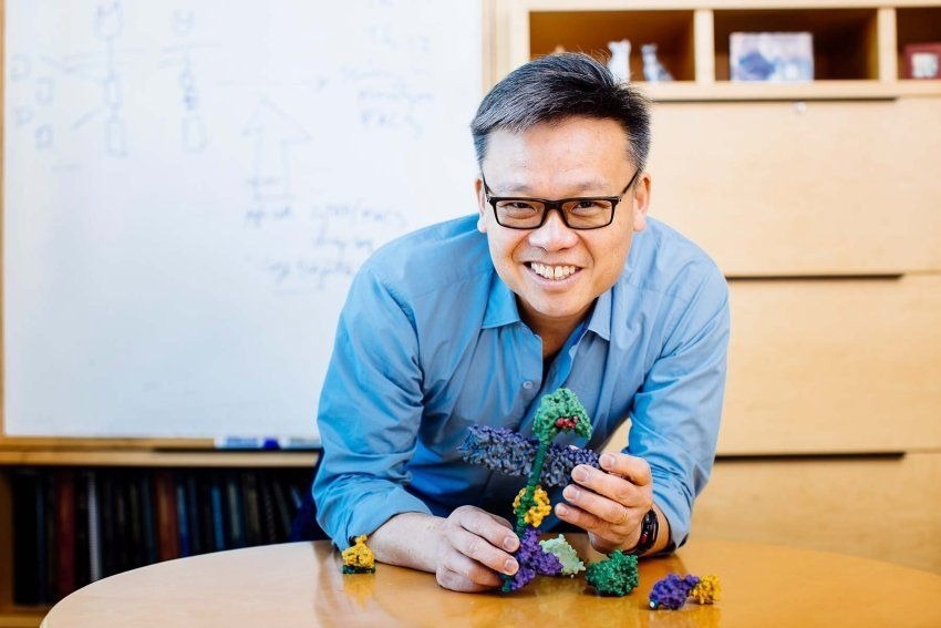 The potential of cellular “glue” in regenerative medicine