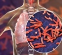 New DNA analysis leads to first accurate tuberculosis genome identification