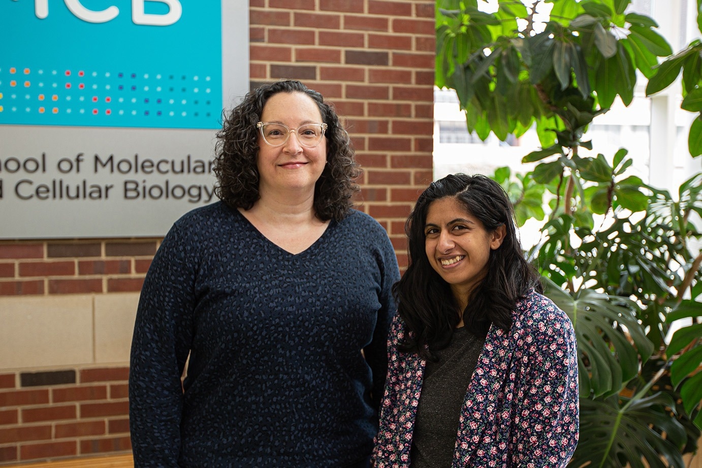 Uncovering new function for small RNAs in Salmonella infections Uncovering new function for small RNAs in Salmonella infections