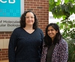 Uncovering new function for small RNAs in Salmonella infections