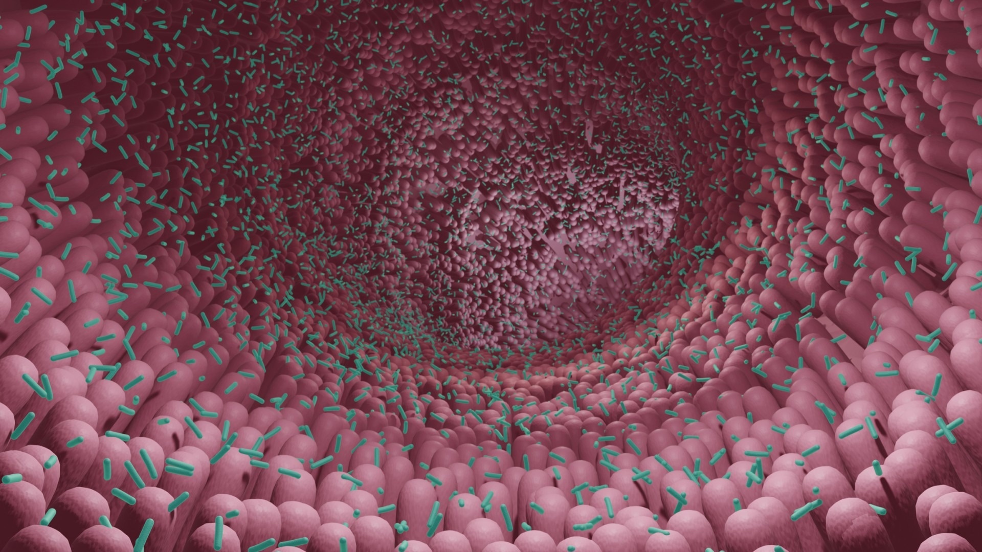 Implications of microbiome-directed measures to treat type 2 diabetes