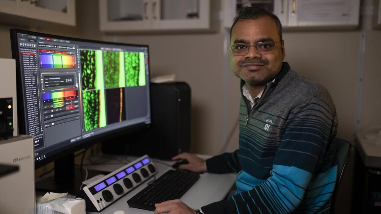 The discovery of a new cellular element vital to the sense of smell