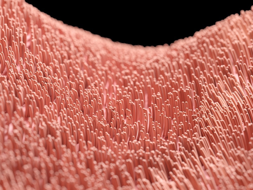 Image Credit: SciePro/Shutterstock.com
